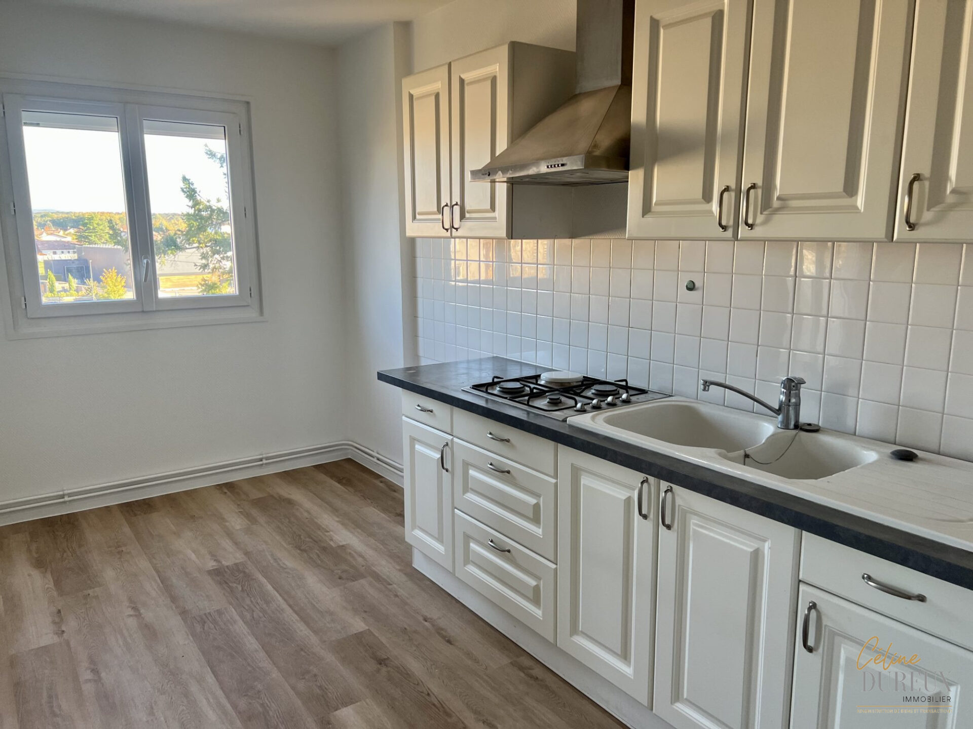 Appartement à louer Péronnas