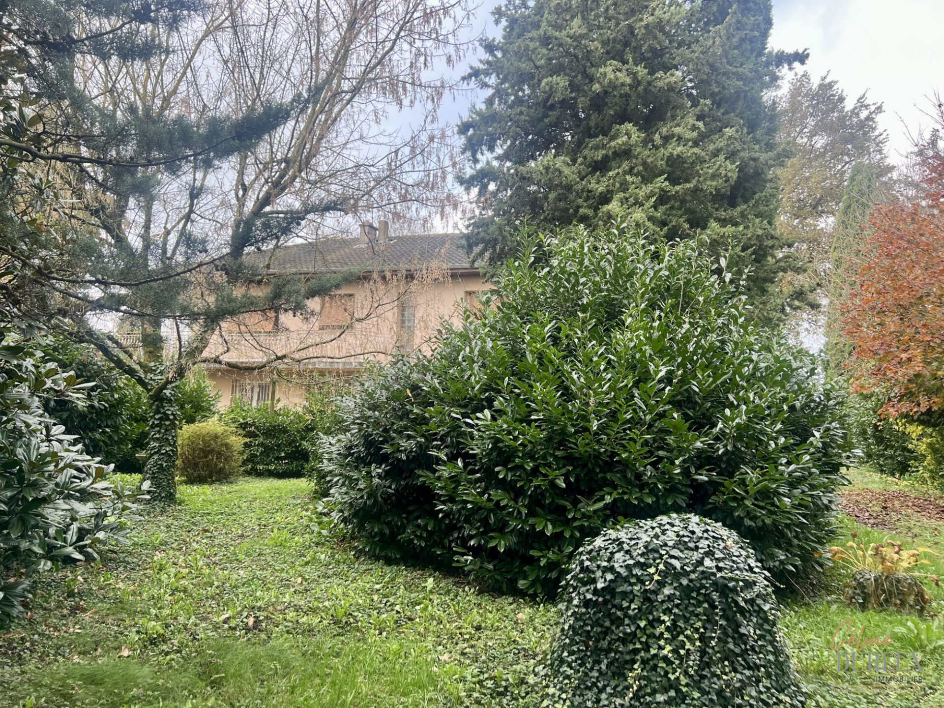 Maison à vendre Feillens