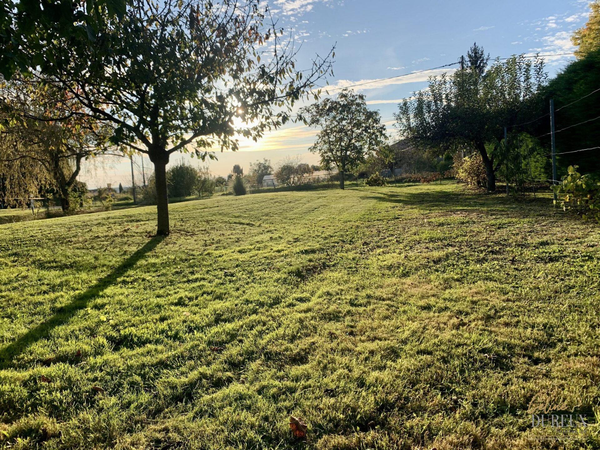 Terrain à bâtir
