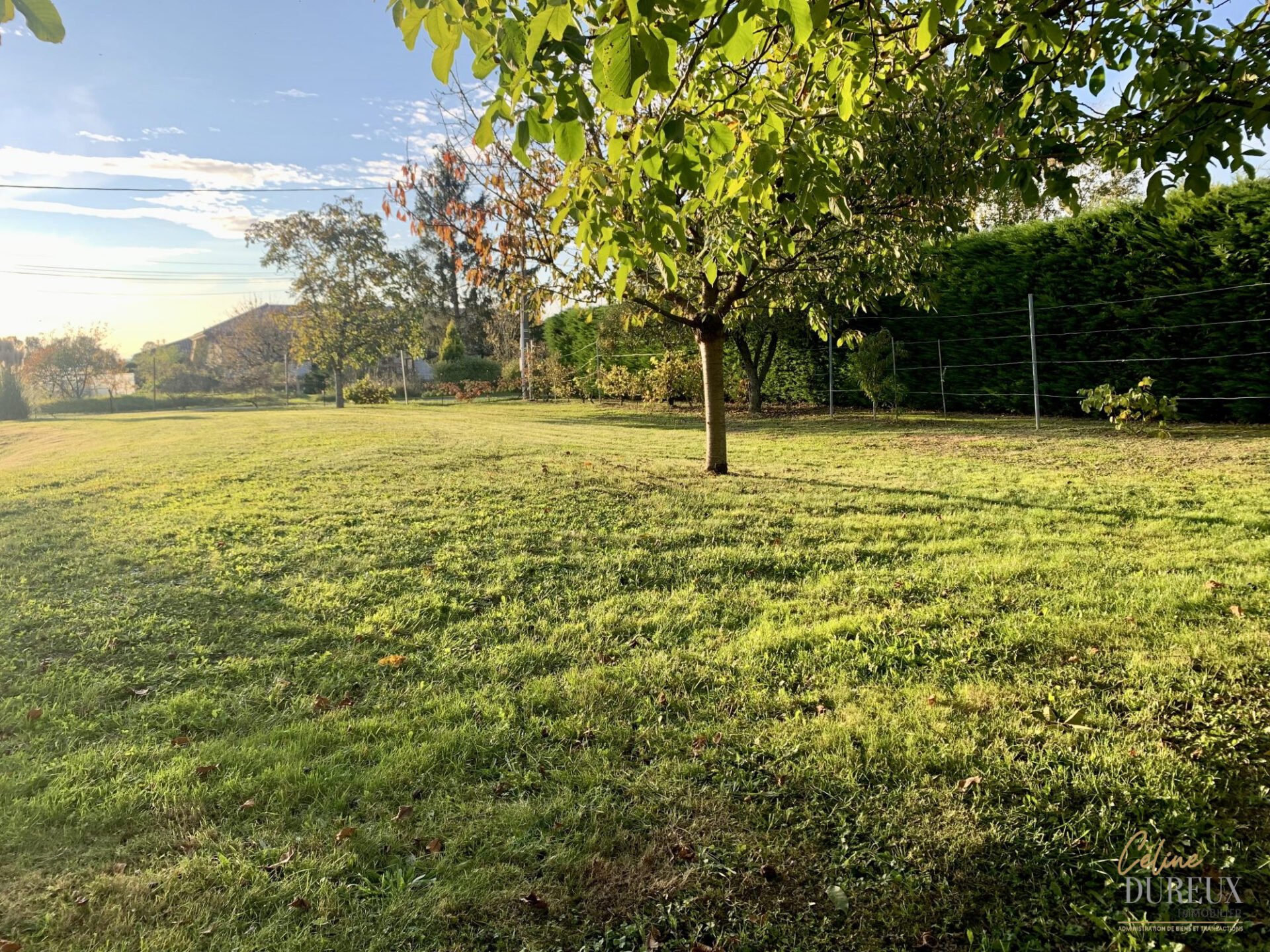 Terrain à bâtir
