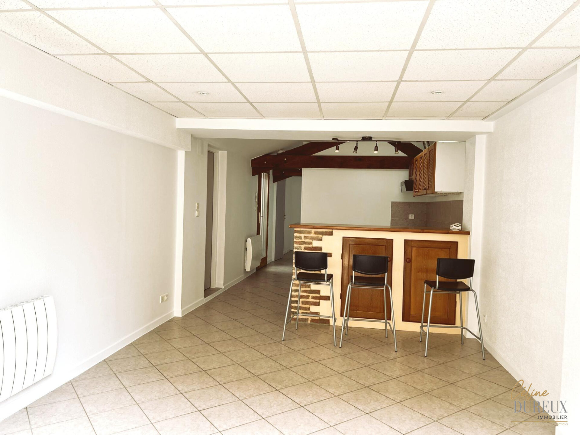 Appartement à louer Saint-Laurent-sur-Saône